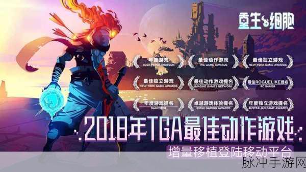 重生细胞深度攻略,挠挠与摩擦的奇妙作用解析