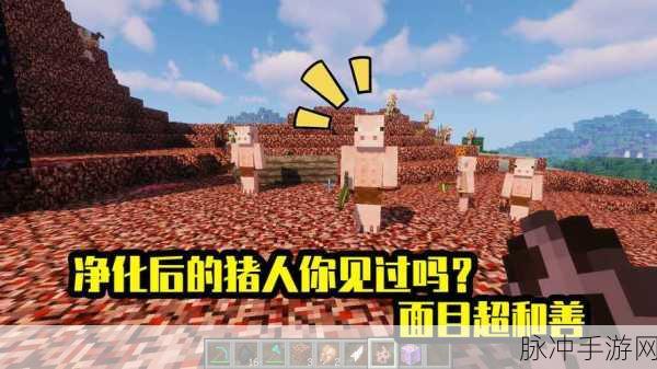 揭秘我的世界中的神秘猪人,深度探索与攻略指南