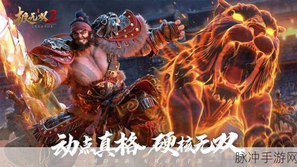 极无双2全面安装及个性化配置指南,助你搭建专属热血战斗舞台