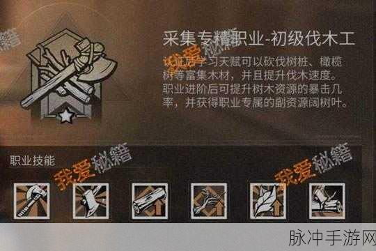 楚留香手游秘籍进阶攻略,金色秘籍进阶所需碎片详解