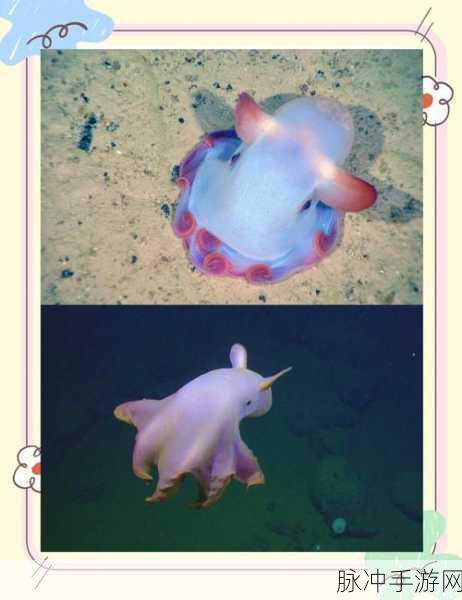 揭秘剑灵深海奇遇,章鱼咒术与深海之秘,冒险一触即发!