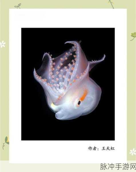 揭秘剑灵深海奇遇,章鱼咒术与深海之秘,冒险一触即发!