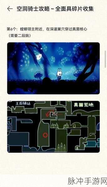 空洞骑士面具碎片全攻略，高效管理技巧与避免浪费策略，实现价值最大化