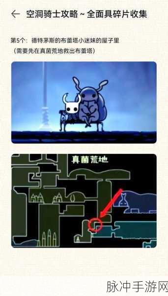 空洞骑士面具碎片全攻略，高效管理技巧与避免浪费策略，实现价值最大化
