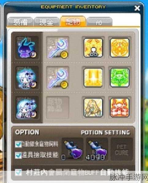 龙之谷2手游宠物大全深度解析,探索你的冒险伙伴