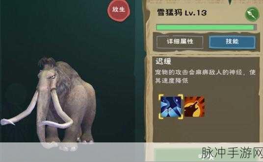 创造与魔法手游攻略，揭秘创魔猛犸象极品资质