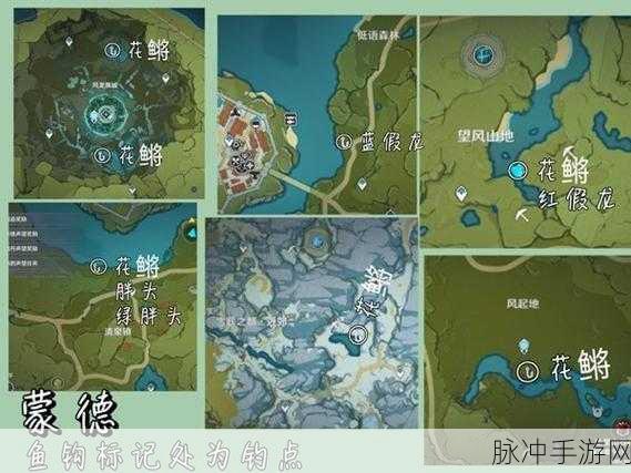 原神手游攻略,全面解析如何获得渔获