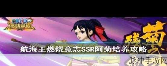 航海王燃烧意志阿菊强度全面解析，单点爆发与辅助并存的传奇武士