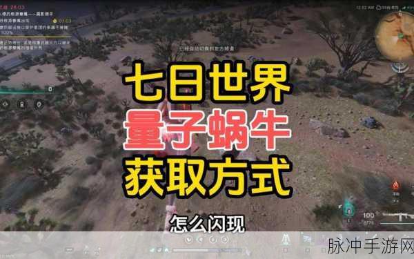 七日世界手游攻略，揭秘量子蜗牛的获取之道