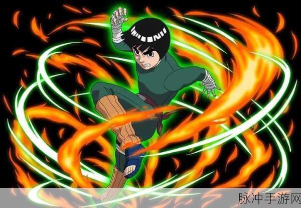 火影忍者手游李洛克技能攻略,深度剖析洛克玩法,揭秘战力提升技巧