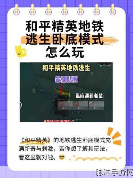 两口子玩刺激战场攻略,巧妙利用道具提升胜率