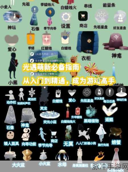 光遇好友上限深度解析,如何高效管理你的游戏社交圈