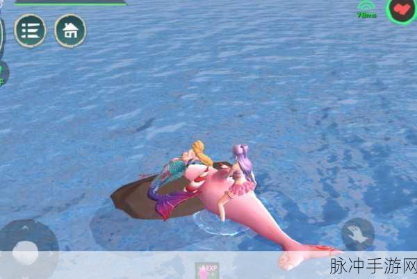 创造与魔法，深入探索观赏鱼的多样用途