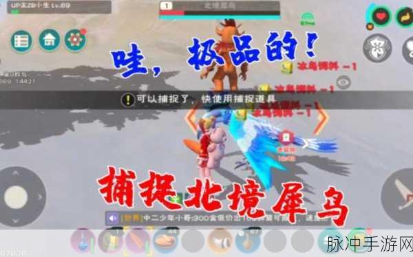 创造与魔法,揭秘北境犀鸟饲料制作精髓攻略