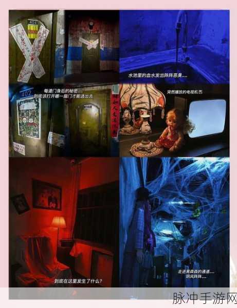 深入后室,一场惊心动魄的密室冒险求生之旅