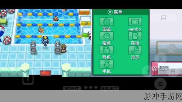 口袋妖怪魂银,练哪些精灵较好全面攻略