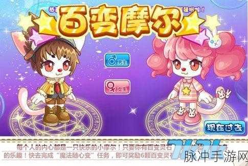 摩尔庄园手游紫色猫获取攻略全面解析