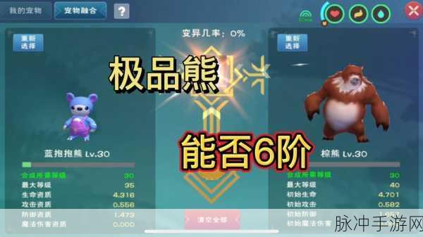 创造与魔法，深度解析蓝抱抱熊资质标准与培养攻略