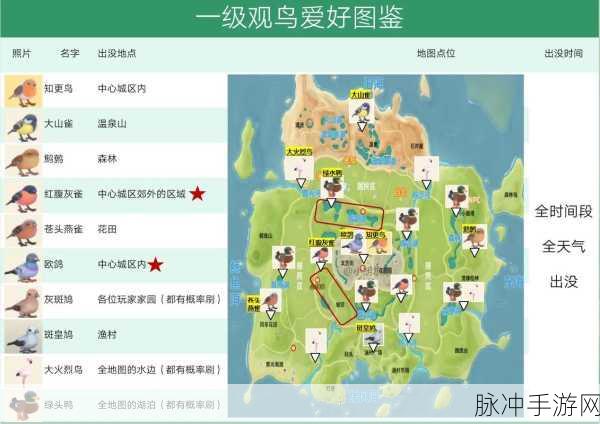 心动小镇攻略,解锁红隼天下第一任务秘籍,速通步骤全揭秘