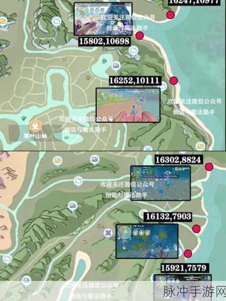 创造与魔法深度探索,大王花位置揭秘与秘境神秘宝藏追寻