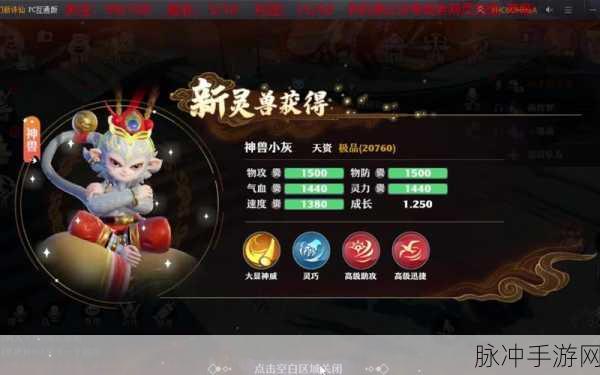 梦幻新诛仙小灰强度分析全攻略