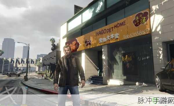 GTA5中的虚拟股市深度攻略，揭秘如何通过炒股获得财富