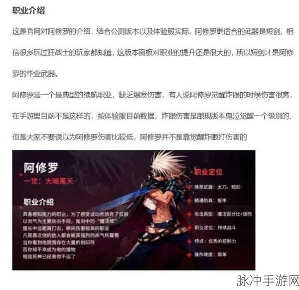 DNF手游攻略,探索全屏攻击技能的职业与技能详解