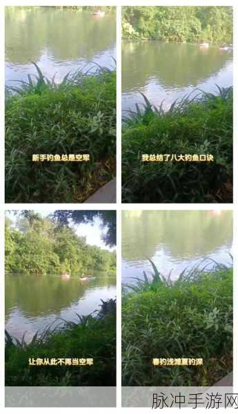 诺亚之心钓鱼攻略，掌握技巧，满载而归