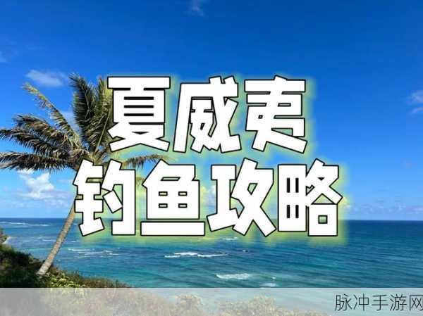 诺亚之心钓鱼攻略,掌握技巧,满载而归