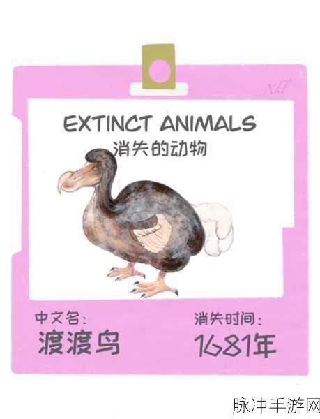 探秘方舟，渡渡鸟——萌宠背后的非凡能力大起底！