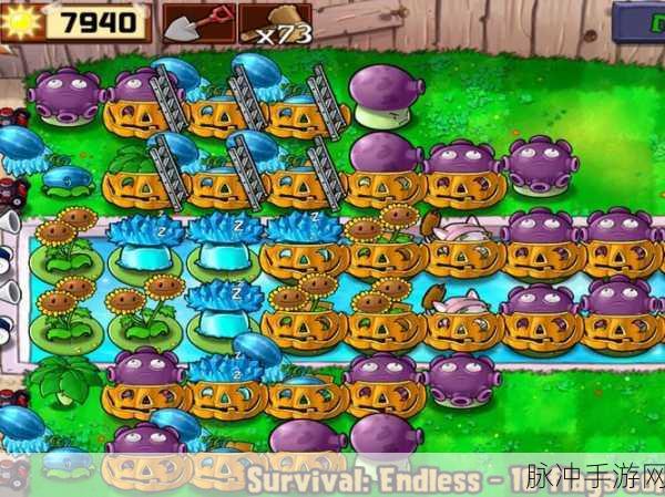 半年生自制PVZ2,深度攻略与下载安装指南