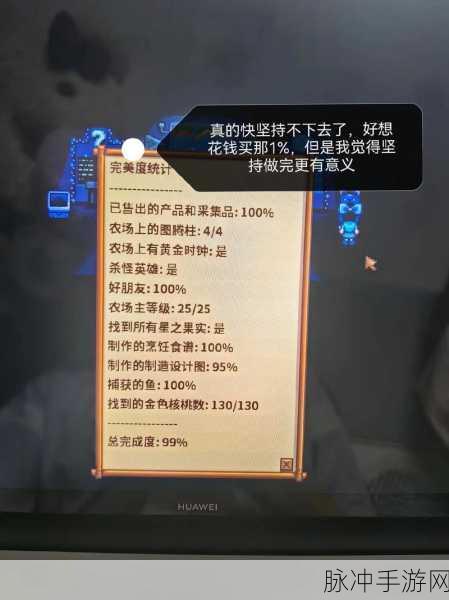星露谷物语载入存档闪退问题全解析，手游公司专业攻略