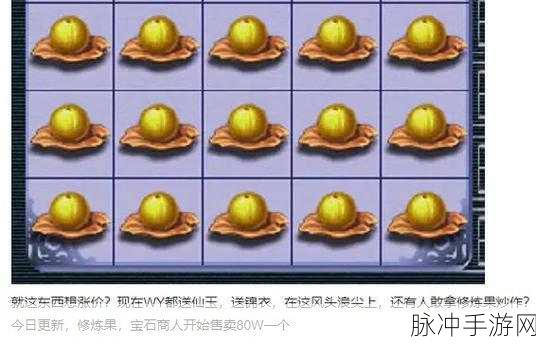 梦幻西游修炼果获取秘籍大揭秘
