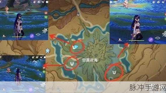 原神甘露花海解密全攻略,净觉花玩法及详细解密流程
