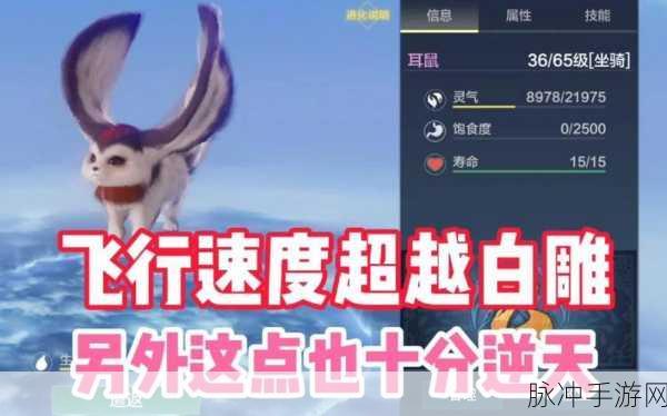 解锁妄想山海耳鼠，一场惊心动魄的生存与战斗策略