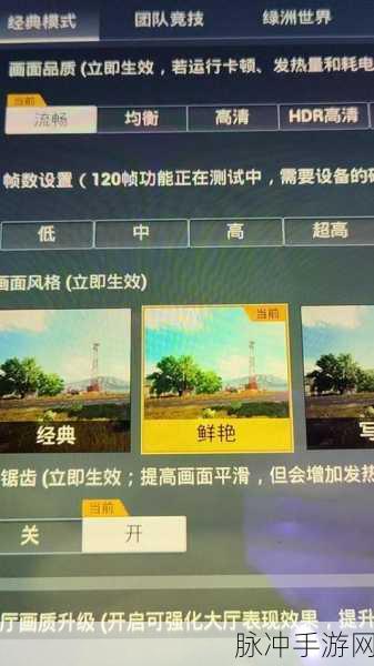 和平精英画面设置攻略,如何让人物清晰可见?