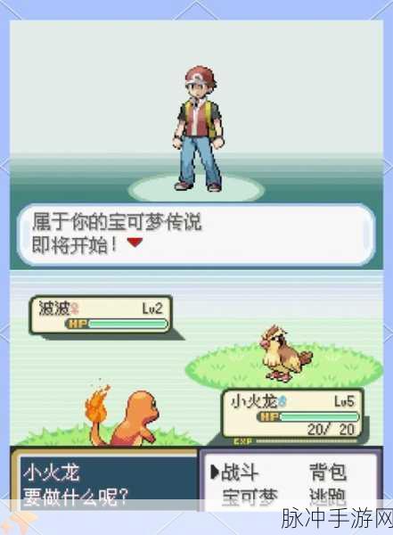 重温经典之旅,口袋妖怪初代界面手游攻略全解析