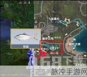 和平精英绿洲世界垂钓等级提升全攻略