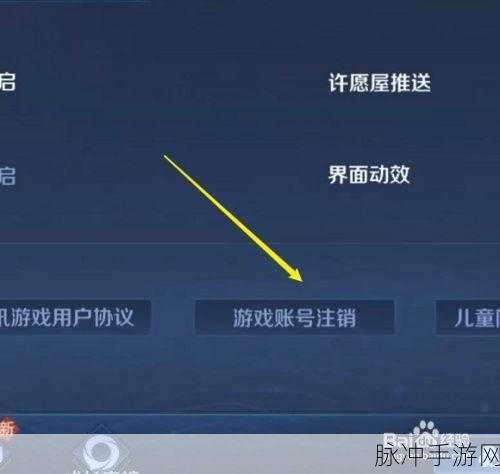 王者荣耀游戏攻略,详细步骤教你如何删除游戏好友