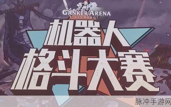 格斗大师传奇，机器人格斗大赛的热血征程