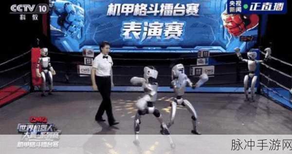 格斗大师传奇,机器人格斗大赛的热血征程