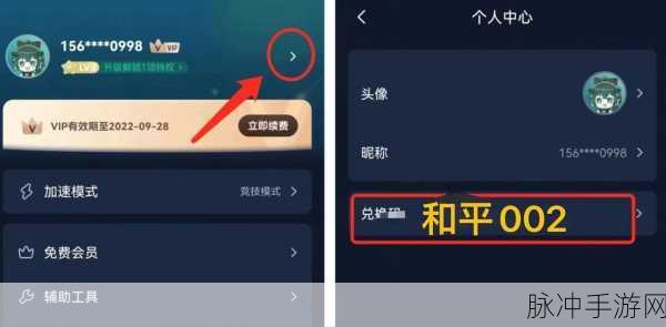 梦幻新诛仙卡顿黑屏解决方法全面剖析