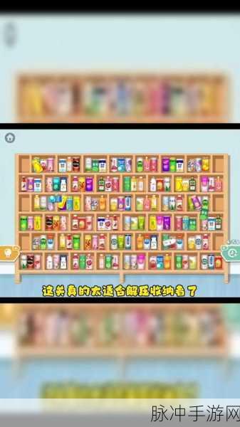 超级收纳馆第2关夏日清凉，详尽通关攻略与技巧解析