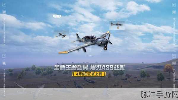 刺激战场飞机皮肤即将震撼登场，详细揭秘与期待