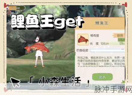 小森生活鲤鱼王垂钓秘籍，解锁珍稀鱼王的终极攻略