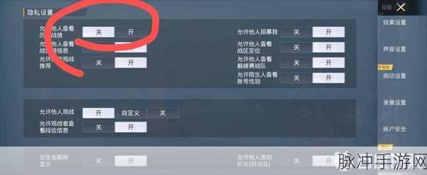 和平精英游戏攻略，如何轻松关闭历史战绩