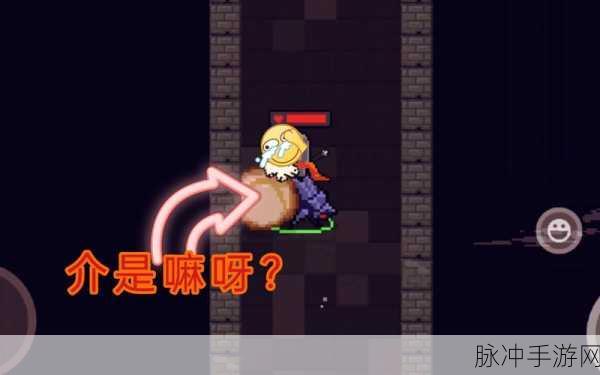 元气骑士深度攻略,倔强蜣螂的奇妙之旅及其作用详解