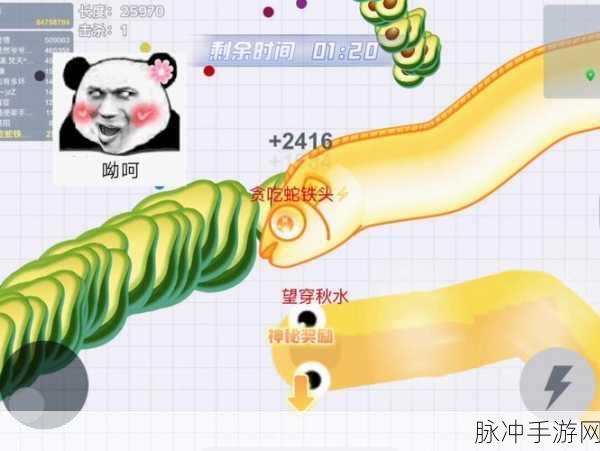 贪吃蛇大作战,蟒蛇型战术深度解析与应用指南