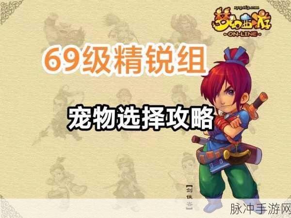 梦幻西游手游宠物乐园全攻略,宠物乐园玩法深度分享
