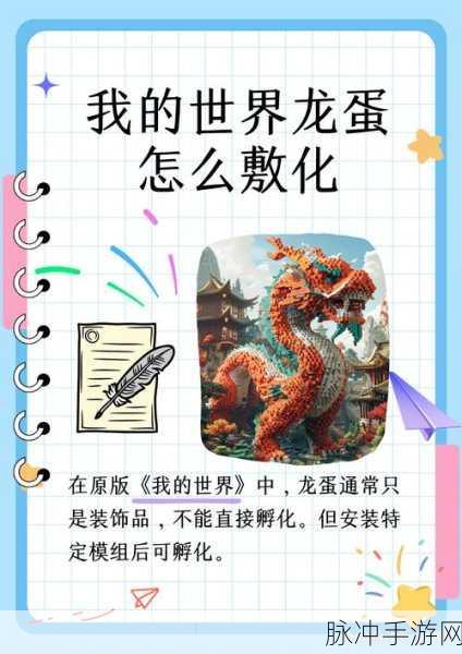 我的世界手游龙蛋孵化全攻略，八种龙蛋孵化技巧详解